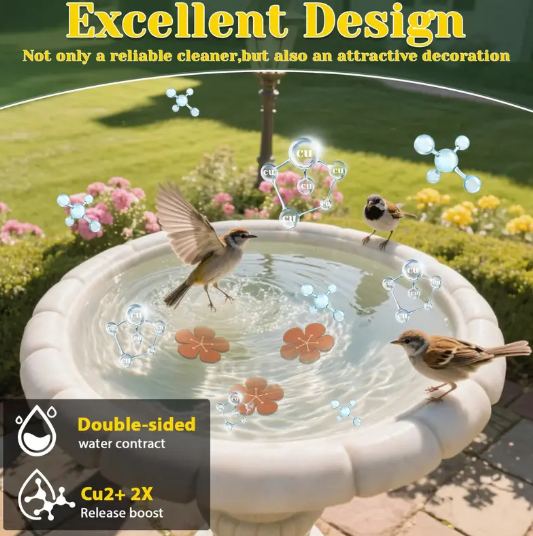 ⏳Time-Limited Special⏰Natural Algae Inhibitor for Bird Baths & Fountains