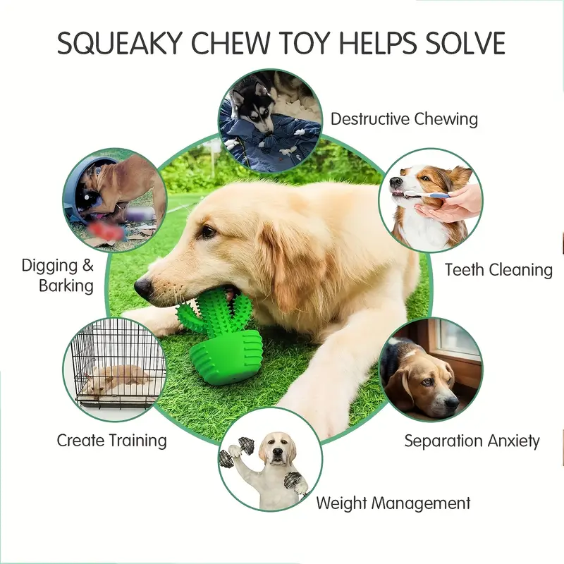Durable rubber cactus-shaped dog chew toy, suitable for all dog breeds.