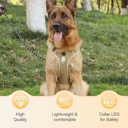 🐶 50% OFF NOW! 🛡️ No Pull Dog Harness with Leash & LED Collar – Secure & Comfortable ✨