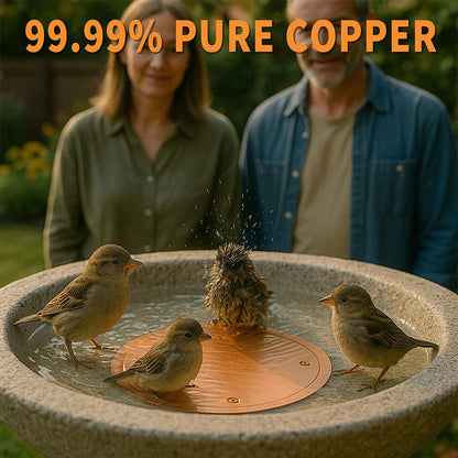 ⏳Time-Limited Special⏰Natural Algae Inhibitor for Bird Baths & Fountains